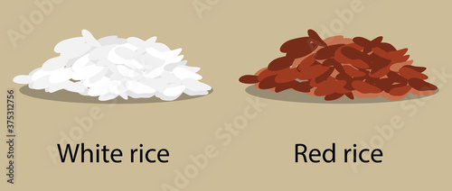 White parboiled and red cargo rice. Vector