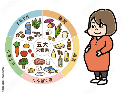 五大栄養素の表と妊婦さんのイラストA