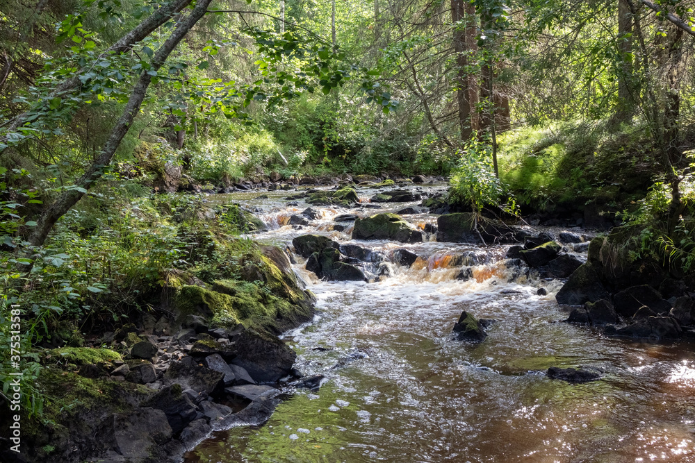Obraz premium The Isterinkoski rapids in Muhos, Finland