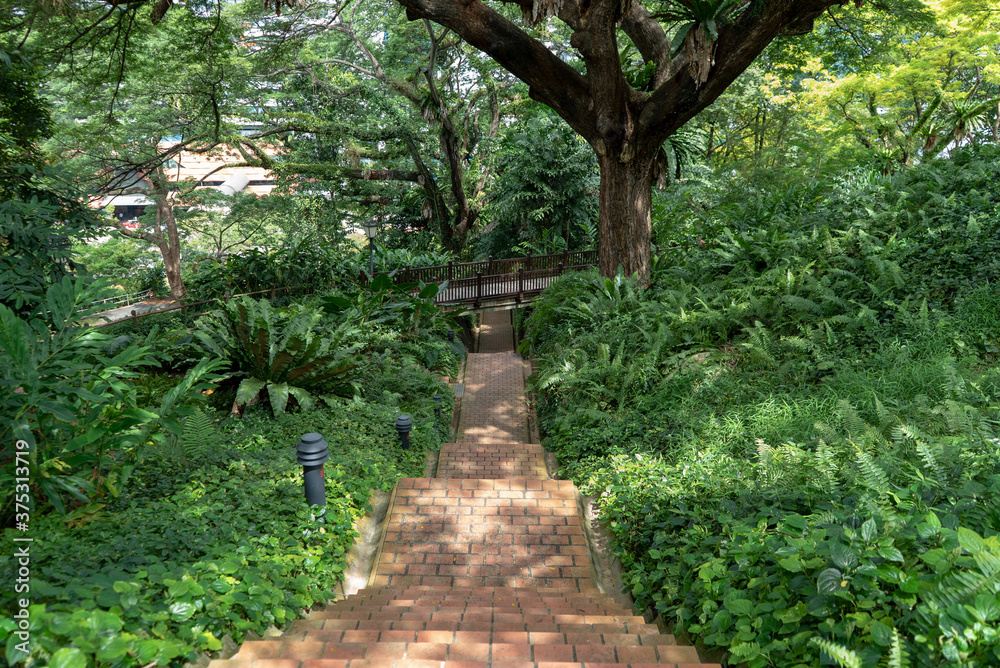 A beautiful stairs set in a garden