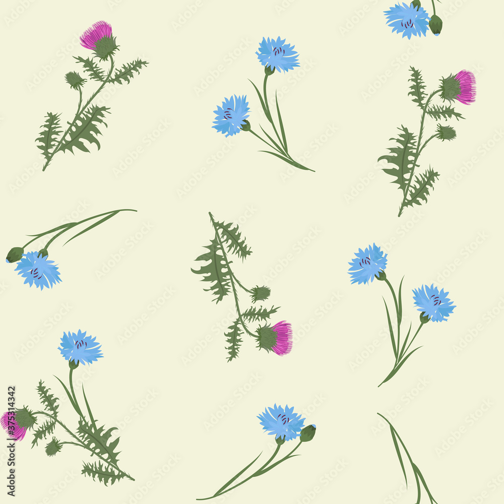 Naklejka Seamless vector illustration with thistle and cornflowers