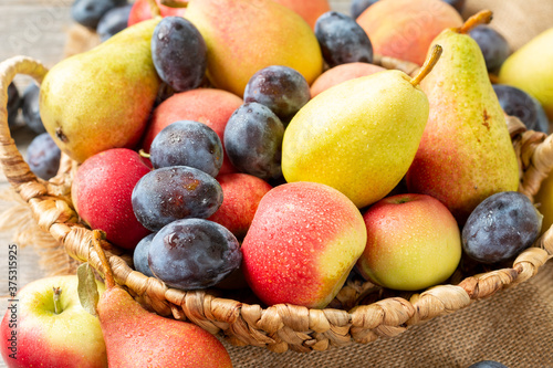 Assortment of fruits in a basket on the table. There are a lot of different raw fruits in the basket. Plums, peaches, apples and pears on the table. Healthy diet