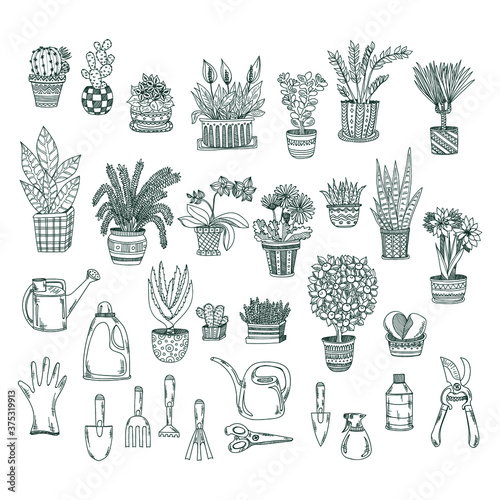 Big set of cute hand drawn house plants in pots including cactus, dracena, aloe and others and garden tools. Vector collection of doodle plants