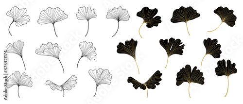 Golden Ginkgo leaves background vector. Luxury Floral art deco. Gold natural pattern design Vector illustration.