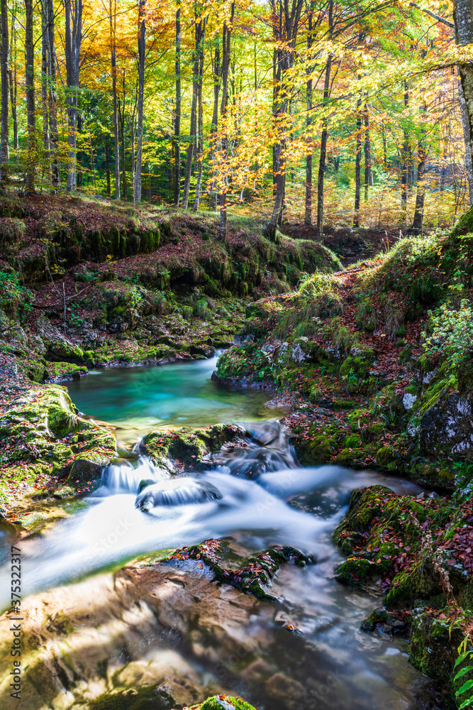 Autumn. Explosion of colors on the waterfalls and streams of the Val d'Arzino. Autumn. Explosion of colors on the waterfalls and streams of the Val d'Arzino.