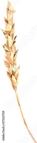 vector illustration of wheat