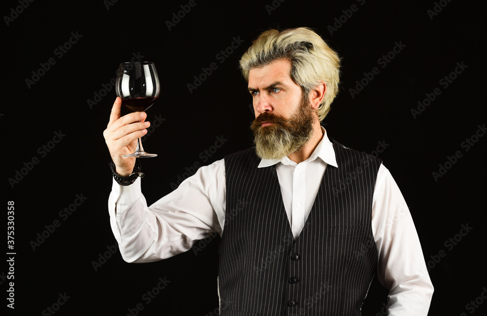 Naklejka premium Wine tasting. Male skilled sommelier estimates alcoholic drink. red wine in long-stemmed wineglasses. bearded man explore taste of wine in restaurant. Checking color and sediments of wine