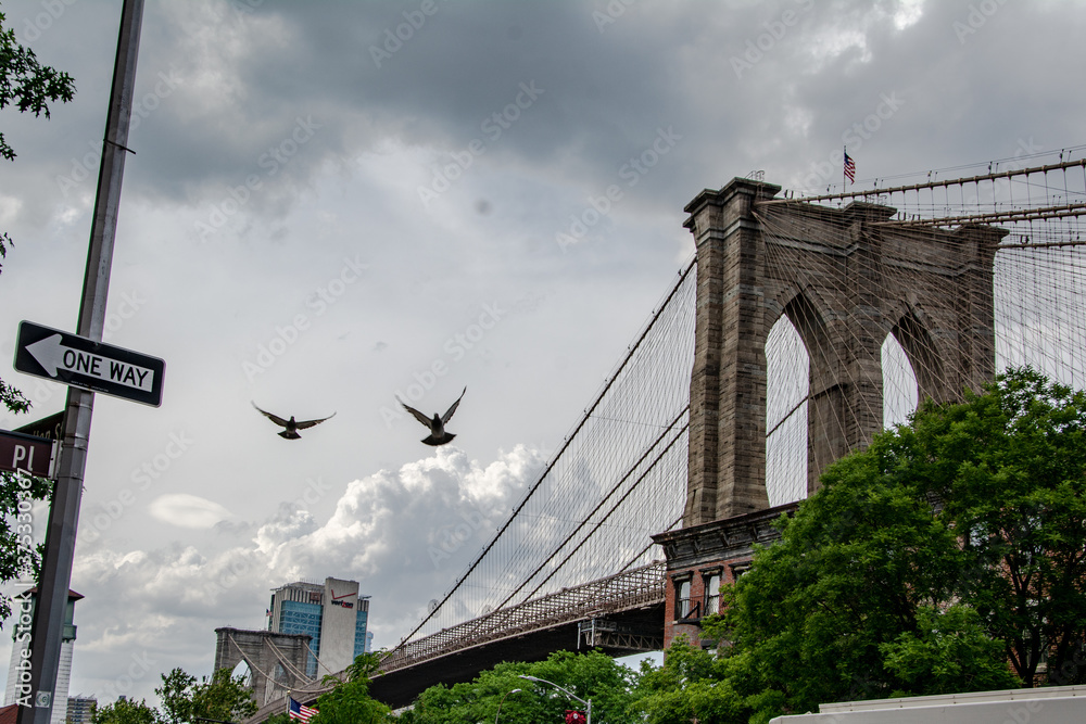 Fototapeta premium Brooklyn Bridge