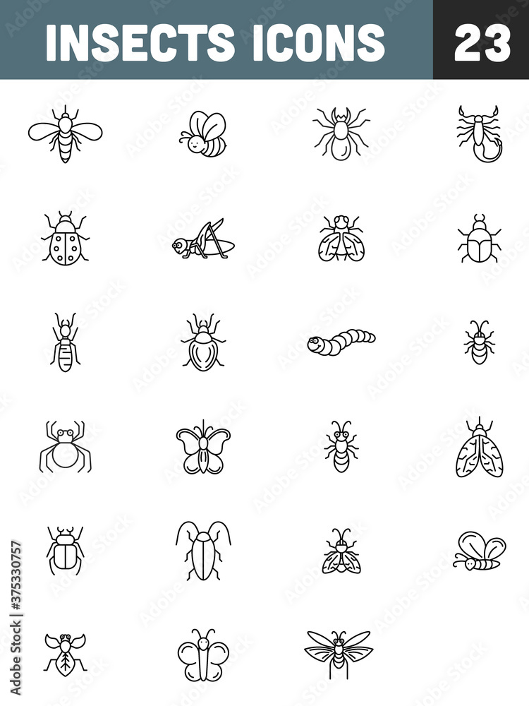 Black Line Art Insect 23 Icons on White Background.