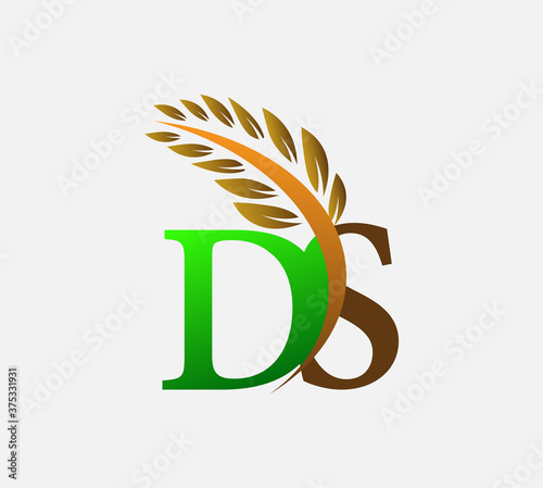initial letter logo DS, Agriculture wheat Logo Template vector icon design colored green and brown.