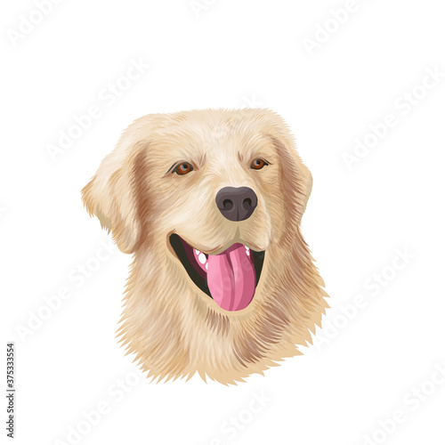 Fototapeta Naklejka Na Ścianę i Meble -  Labrador retriever closeup dog portrait. Pet animal sketch in colour, vector illustration labrador face. Dog head with protruding tongue