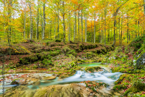 Autumn. Explosion of colors on the waterfalls and streams of the Val d'Arzino.