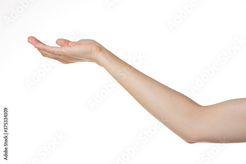 a woman s hand holding her palm up.