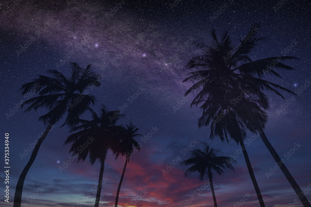 magical summer night sky on a tropical island with stars and constellations, exclusive and relaxing vacation concept