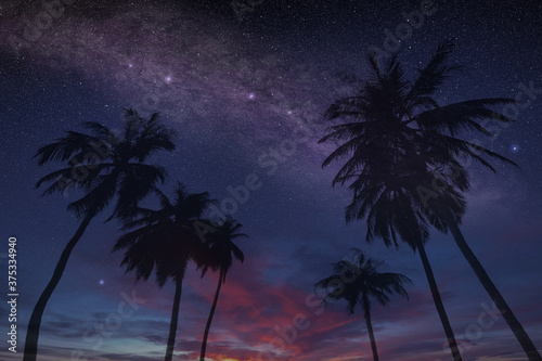 magical summer night sky on a tropical island with stars and constellations, exclusive and relaxing vacation concept