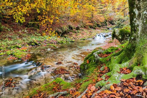 Autumn. Explosion of colors on the waterfalls and streams of the Val d'Arzino.
