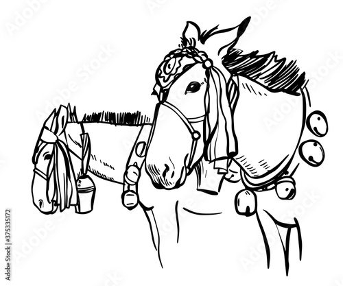 Vector drawing of beautiful mules in Nepal. Vector hand drawn illustration on white background.