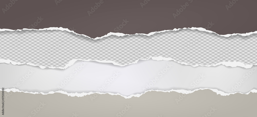 Pieces of torn, ripped dark brown paper with soft shadow are on white background for text. Vector illustration Pieces of torn, ripped dark brown paper with soft shadow are on white background for text. Vector illustration