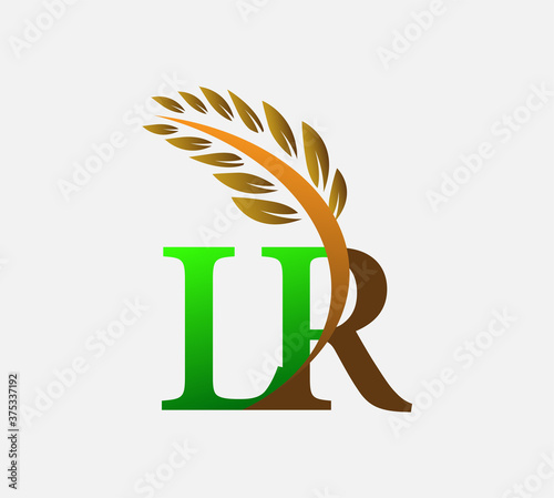 initial letter logo LR, Agriculture wheat Logo Template vector icon design colored green and brown.