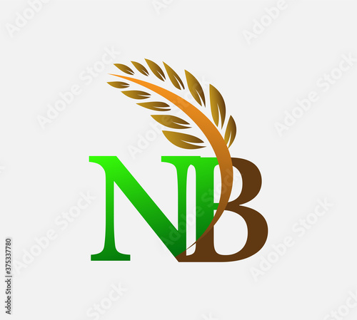 initial letter logo NB, Agriculture wheat Logo Template vector icon design colored green and brown.