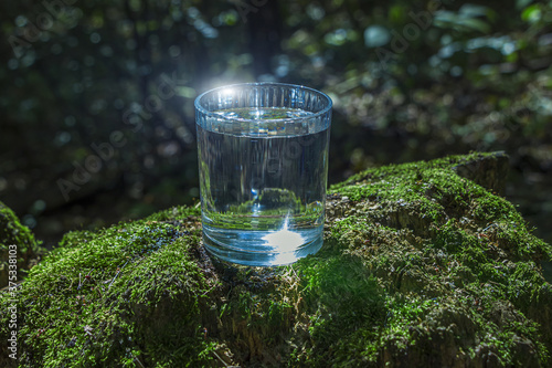 Glass of clean still water on tree stump with moss against green natural background. Spring ecologically pure water. World Water Day