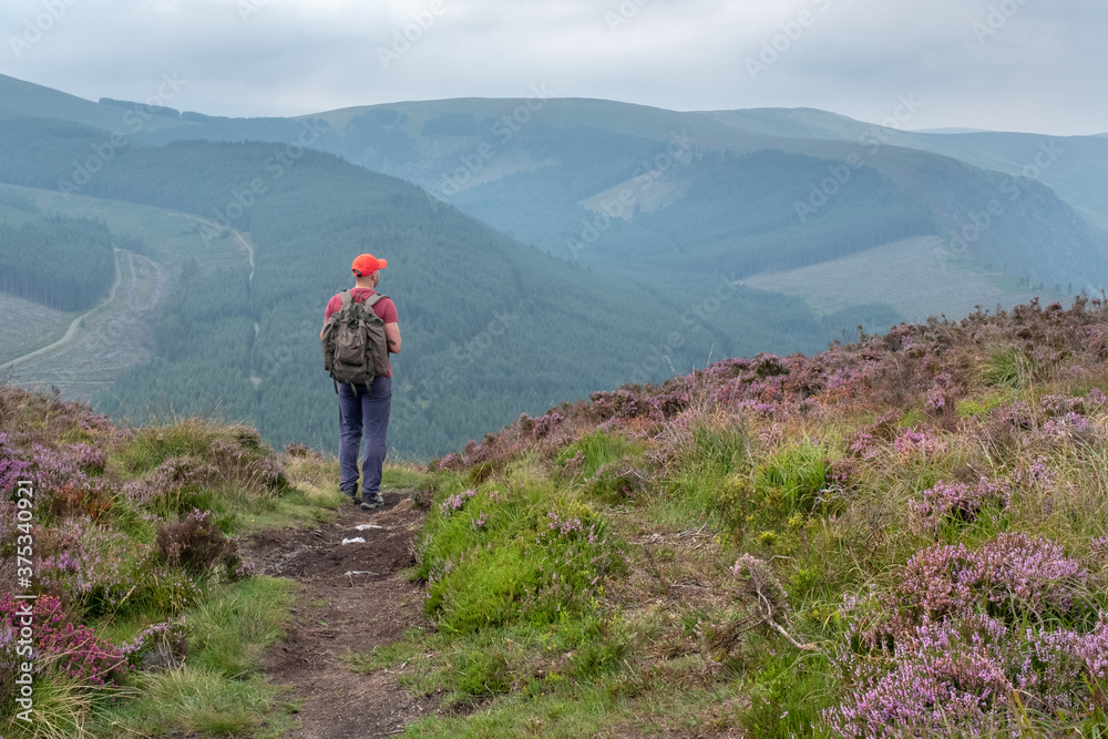 Tourist with backpack on the top of the mounting looking down the valley in Wicklow National Park