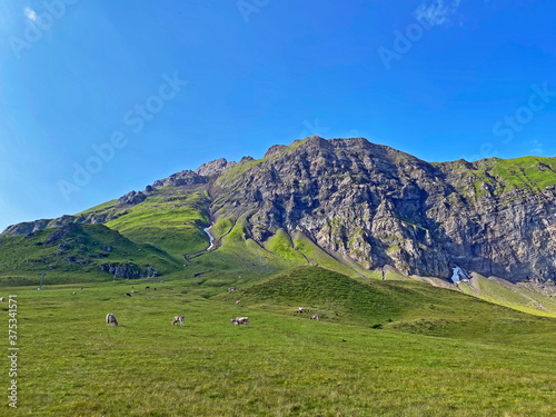 Alpine peak Glogghüs (Glogghues or Glogghus) above the Melchsee lake and in the Uri Alps mountain massif, Melchtal - Canton of Obwald, Switzerland (Kanton Obwalden, Schweiz) photo