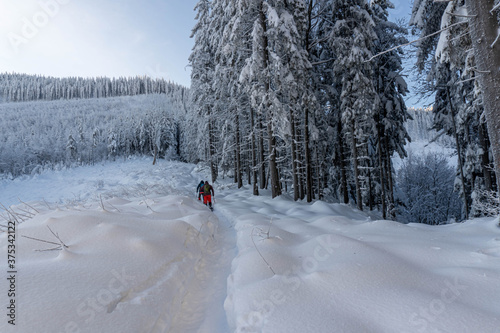Man walking through winter mountain forest