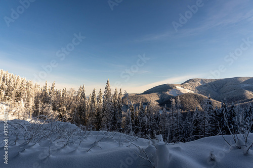Snow covered fir trees on the background of mountain peaks. Snowy winter landscape.