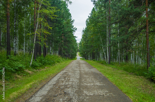 road in the woods