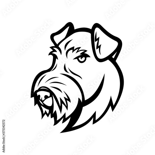 Head of Airedale Terrier Bingley Terrier or Waterside Terrier Dog Black and White Mascot