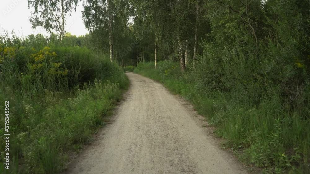 Walking on a winding dirt road in a picturesque rural wooded area. The summer landscape of a grassy roadside with birch trees and bushes. Lonely natural environment. Walking on a winding dirt road in a picturesque rural wooded area. The summer landscape of a grassy roadside with birch trees and bushes. Lonely natural environment.