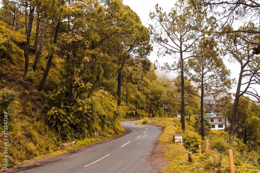 Fototapeta premium road in autumn