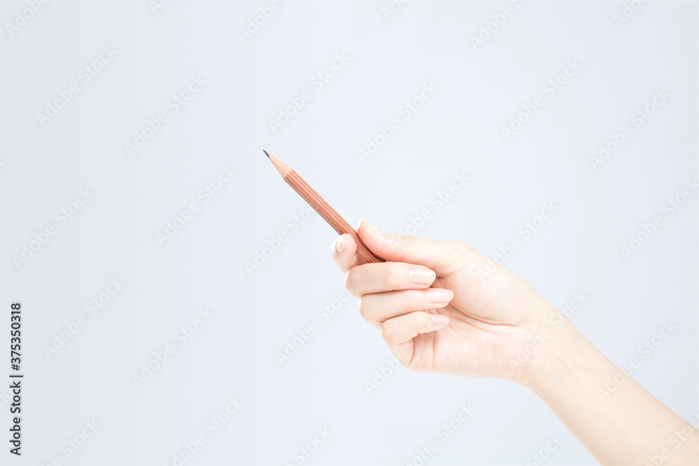 鉛筆を持つ手 鉛筆を持つ手