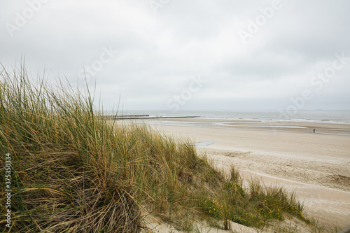 Dune with grass with beach and sea in the background