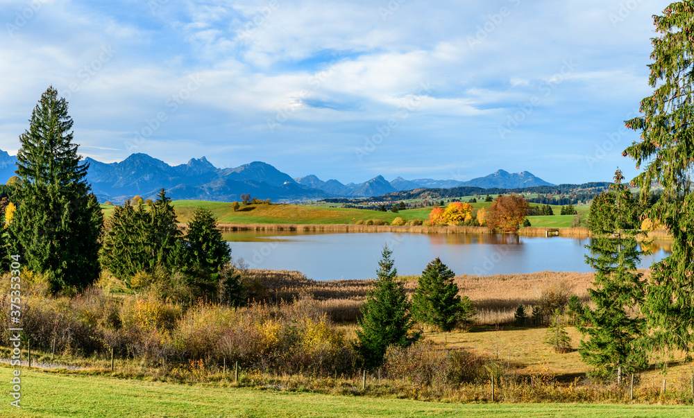 Fototapeta premium Bunte Herbstfarben im Ostallgäu am idyllischen Schapfensee