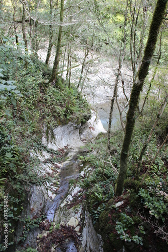 grove