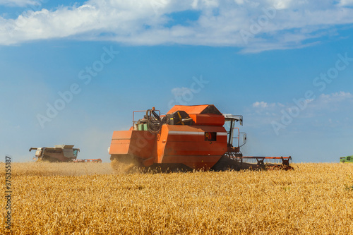Two combines harvests ripe wheat in the grain field.
