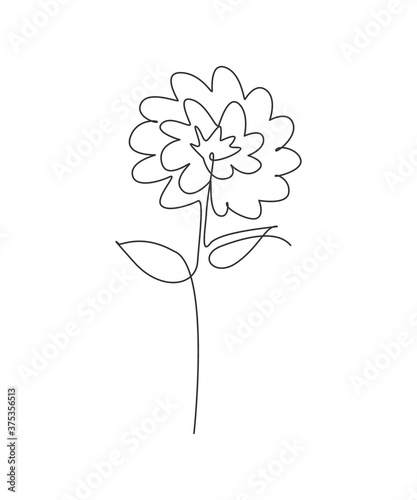 One single line drawing beauty aster flower vector illustration. Minimal tropical floral style, love romantic concept for poster, wall decor print. Modern continuous line graphic draw design