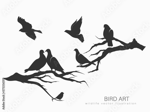 set of silhouettes of birds in motion on a white background . Vector illustration