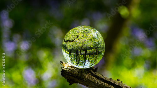 Glass Lens Crystal Photographic Sphere Ball showing magnified and inverted images in Bluebell woods