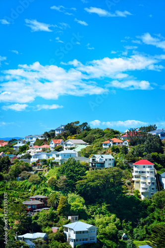 Hilly suburb with traditional villas on the steep slopes ofr green mountain. Sunny spring day in Wellington, New Zealand