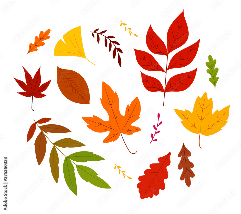 Flat style vector fallen leaves illustration. Autumn leaves in different colors. Flat style vector fallen leaves illustration. Autumn leaves in different colors.