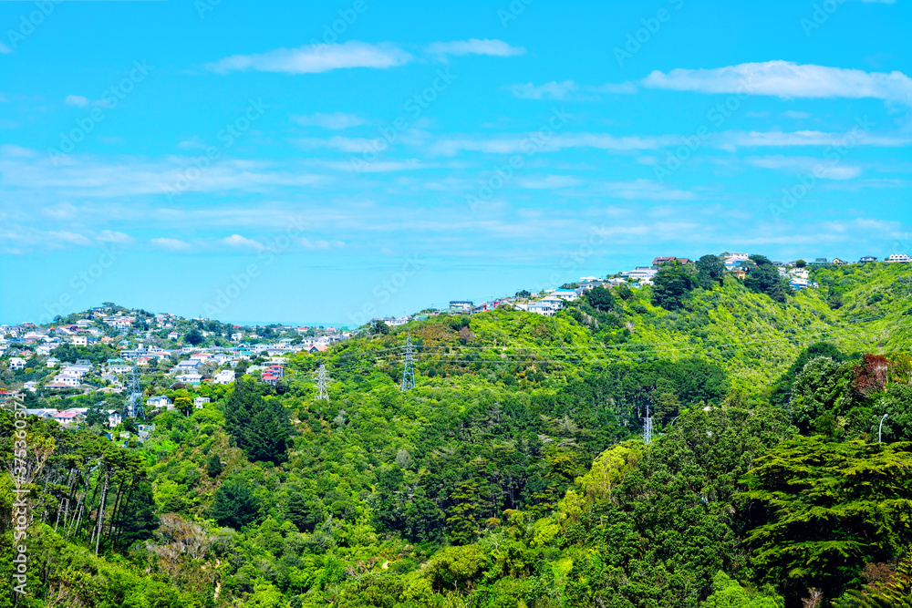 Lush green of a valley and hilly suburb on a bright sunny day in spring or summer. George Denton Park and Brooklyn suburb of Wellington, New Zealand