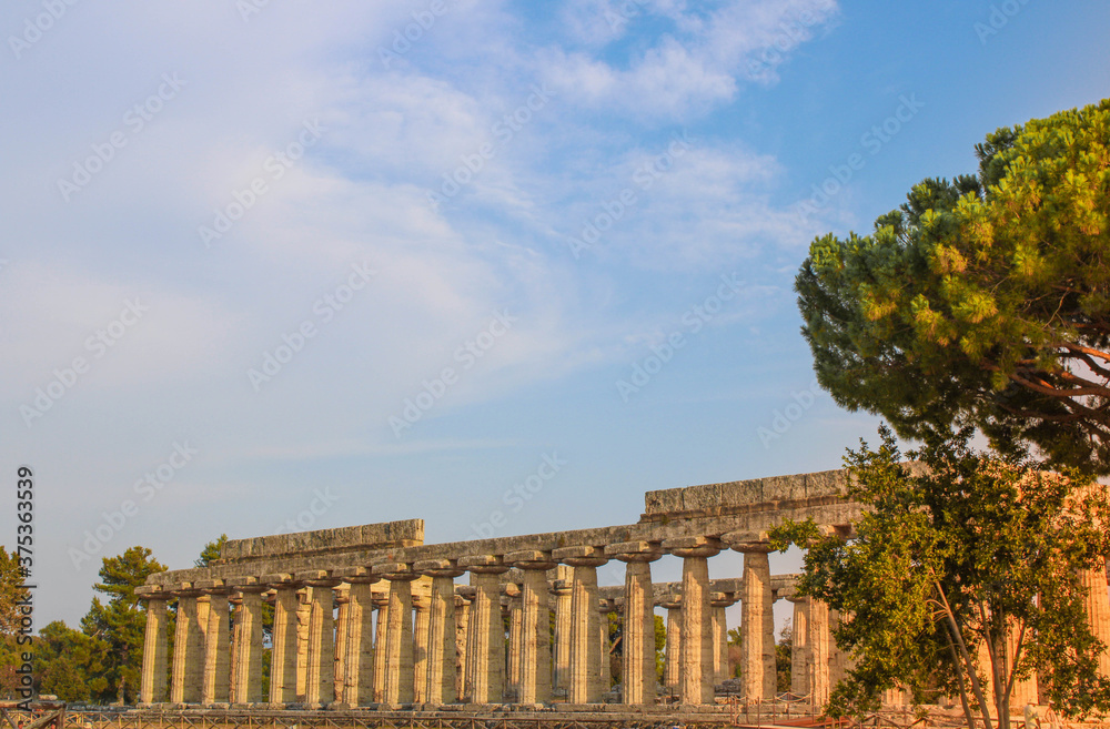 Fototapeta premium Tempio greco di Paestum