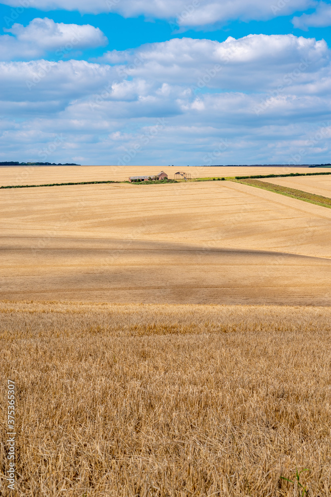 Portrait View of Burdale North Yorkshire