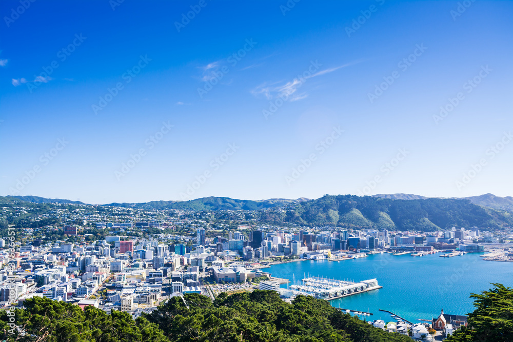 View over Wellington Harbour and Central Business District on a bright summer day.