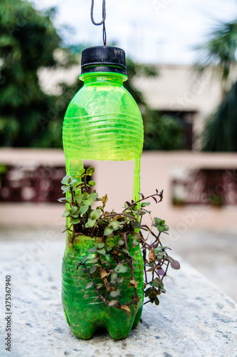 hanging flower pot of plastic bottle, with some phulwari in it, isolated, copy space. A hanging garden. photo