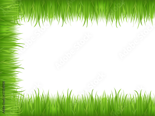 light green animation grass herb lawn and fresh bright grass lawn pattern textured on white.