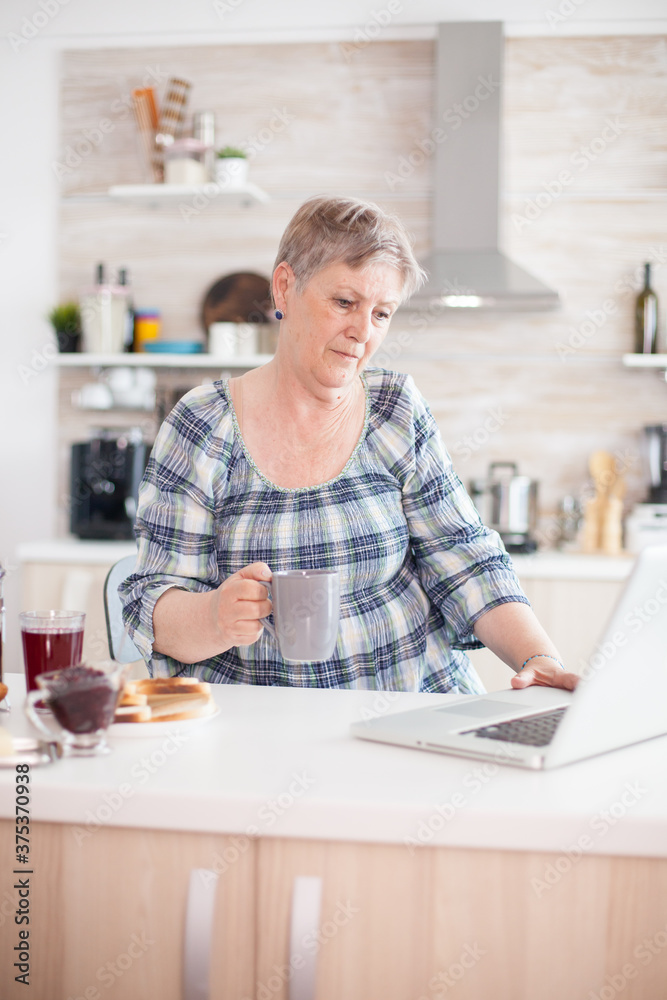 Elderly retired person searching online recipe using laptop in kitchen during breakfast. Senior woman working from home, telecommuting using remote internet job online communication on modern Elderly retired person searching online recipe using laptop in kitchen during breakfast. Senior woman working from home, telecommuting using remote internet job online communication on modern